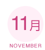 11 NOVEMBER