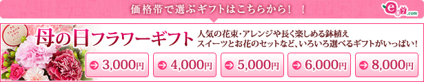 価格帯で選ぶイイハナ母の日ギフト